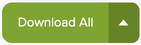 DownloadAll.png